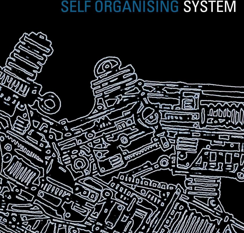 System Self Organising System CD