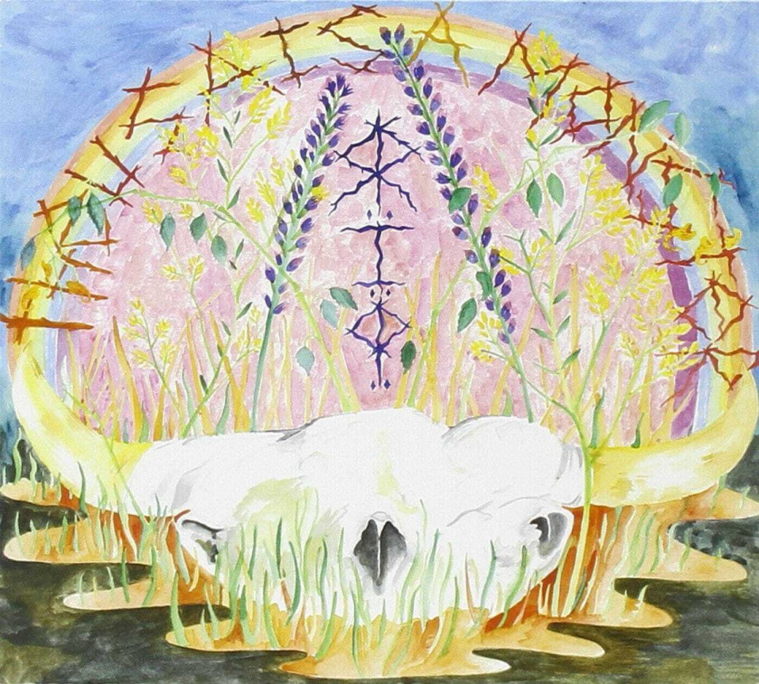 The Usa Is A Monster R.i.p. CD