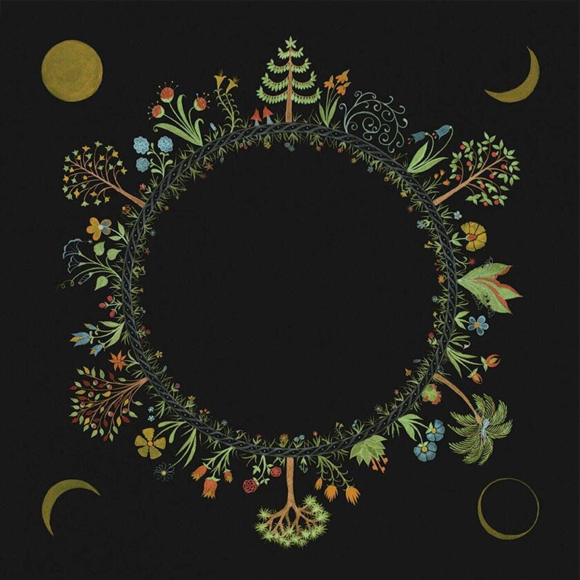 Laura Stevenson Wheel CD