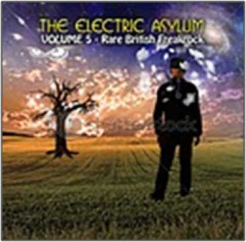 Diverse Artister The Electric Asylum Vol 5 CD