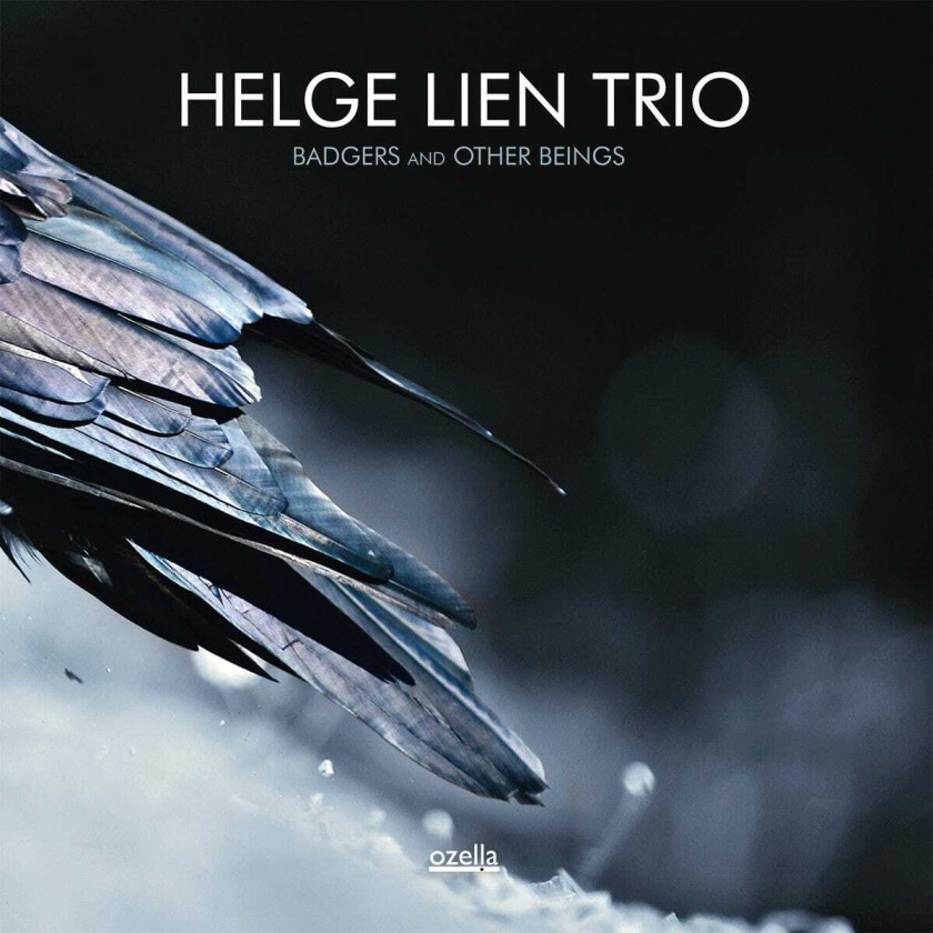 Helge Lien Trio Badgers And Other Beings CD