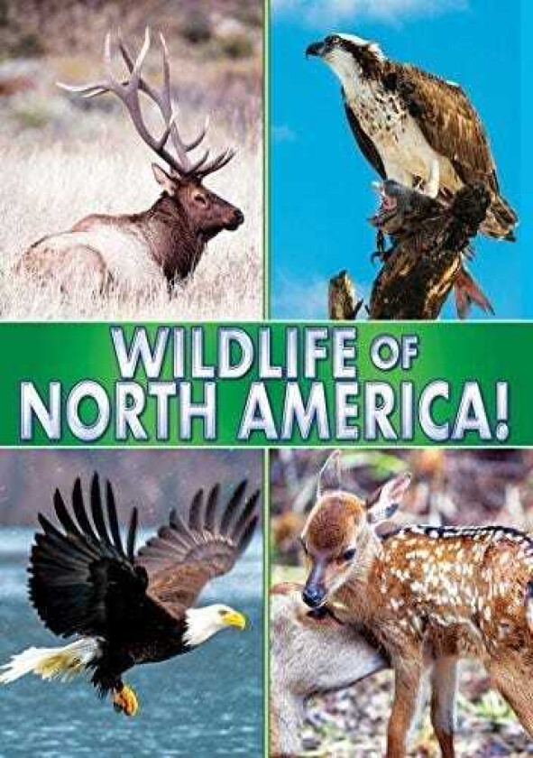 Wildlife Of North America DVD