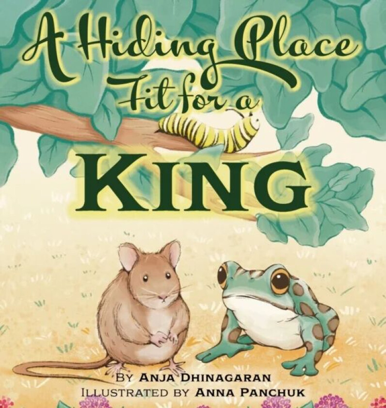 A Hiding Place Fit for a King av Anja Dhinagaran