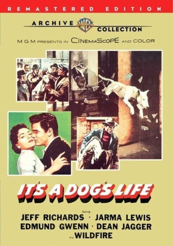 It's A Dog's Life DVD