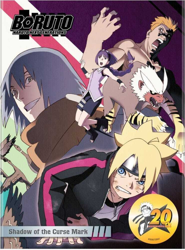 Boruto: Naruto Next Generations Shadow Of The DVD