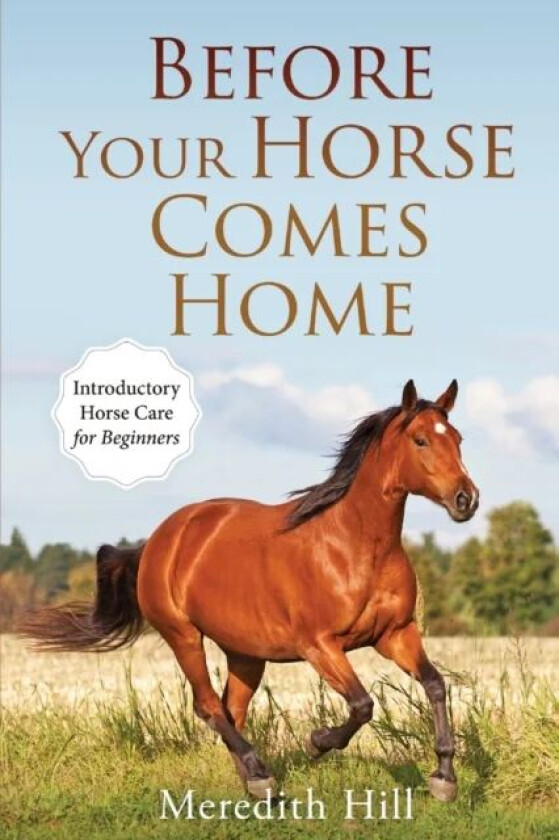 Before Your Horse Comes Home av Meredith Hill