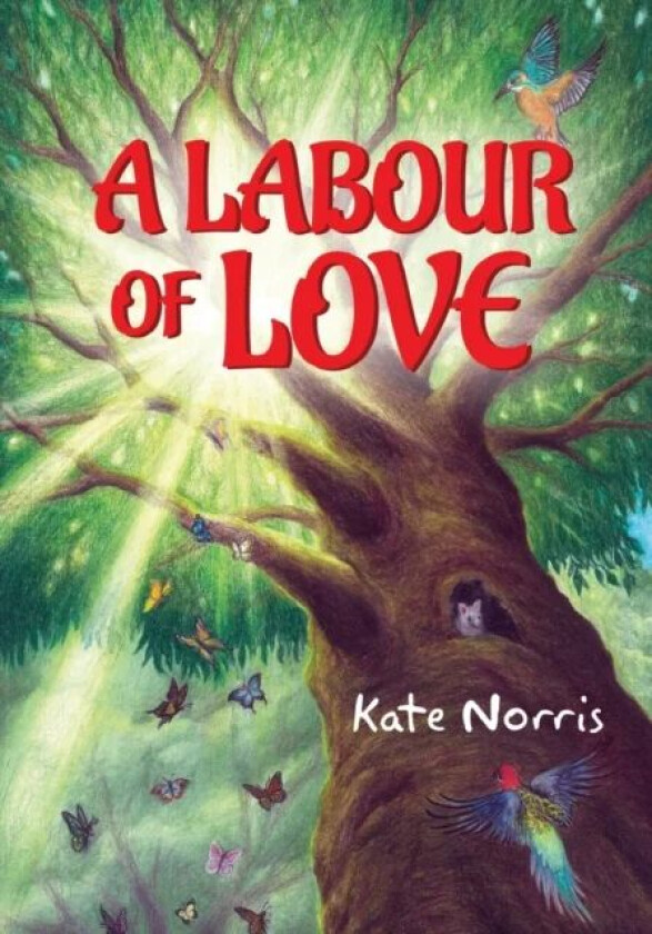 A Labour of Love av Kate Norris