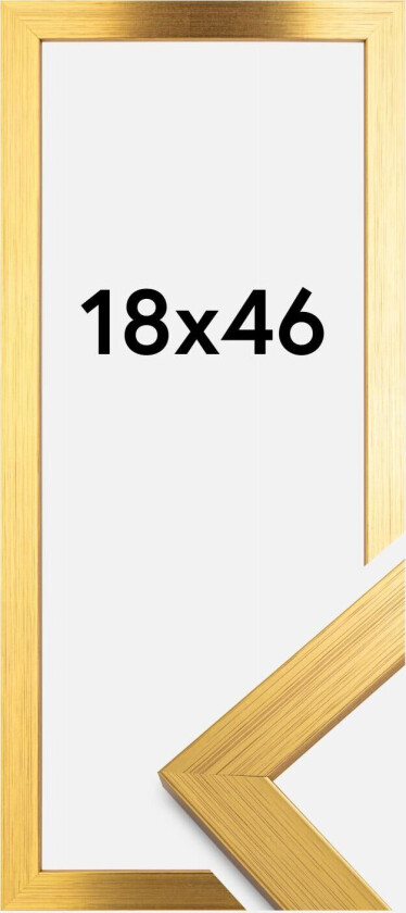 Ramme Gold Wood 18x46 Cm