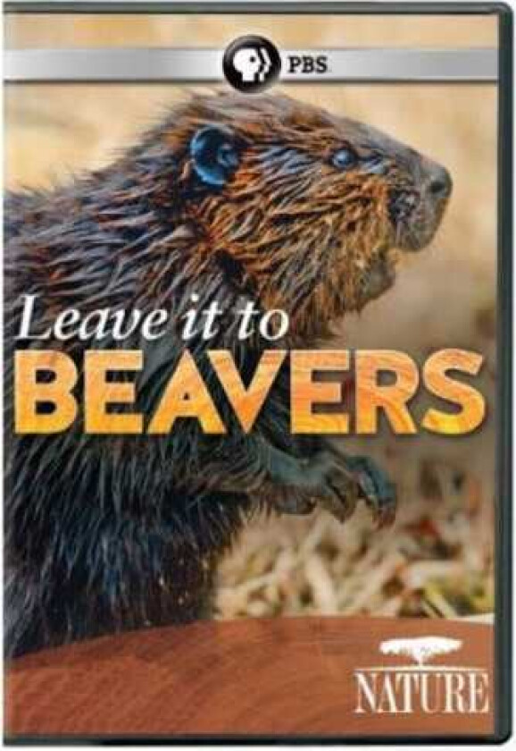 Nature: Leave It To Beavers DVD
