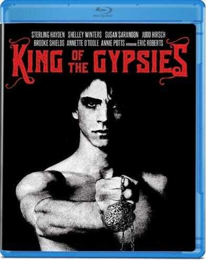 King Of The Gypsies Bluray