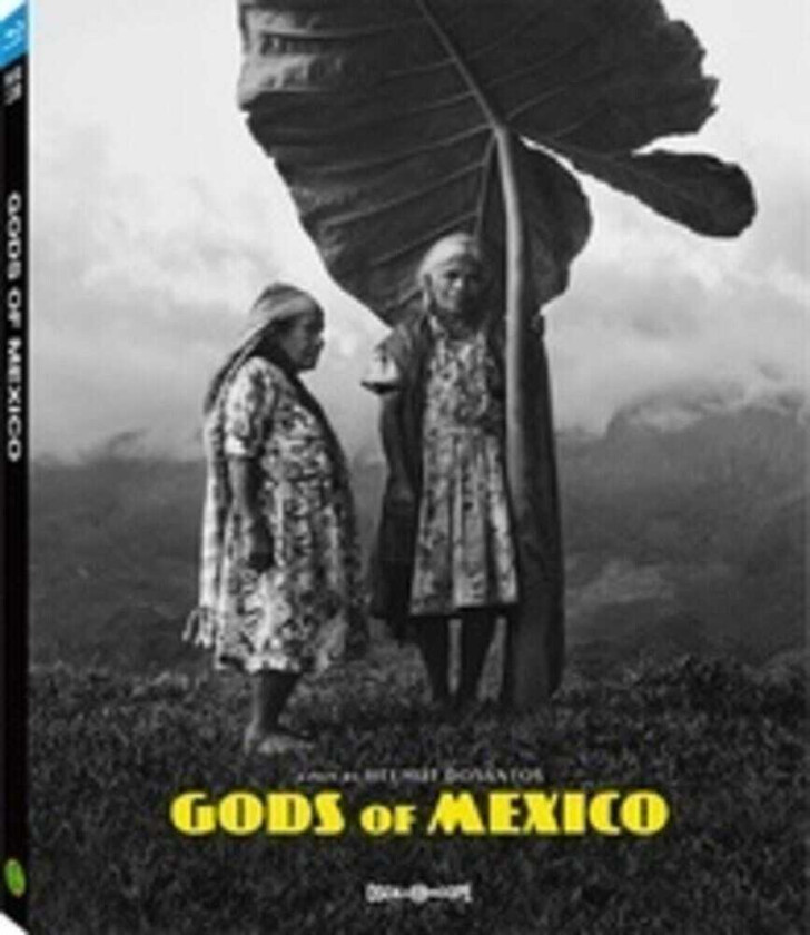 Gods Of Mexico Bluray