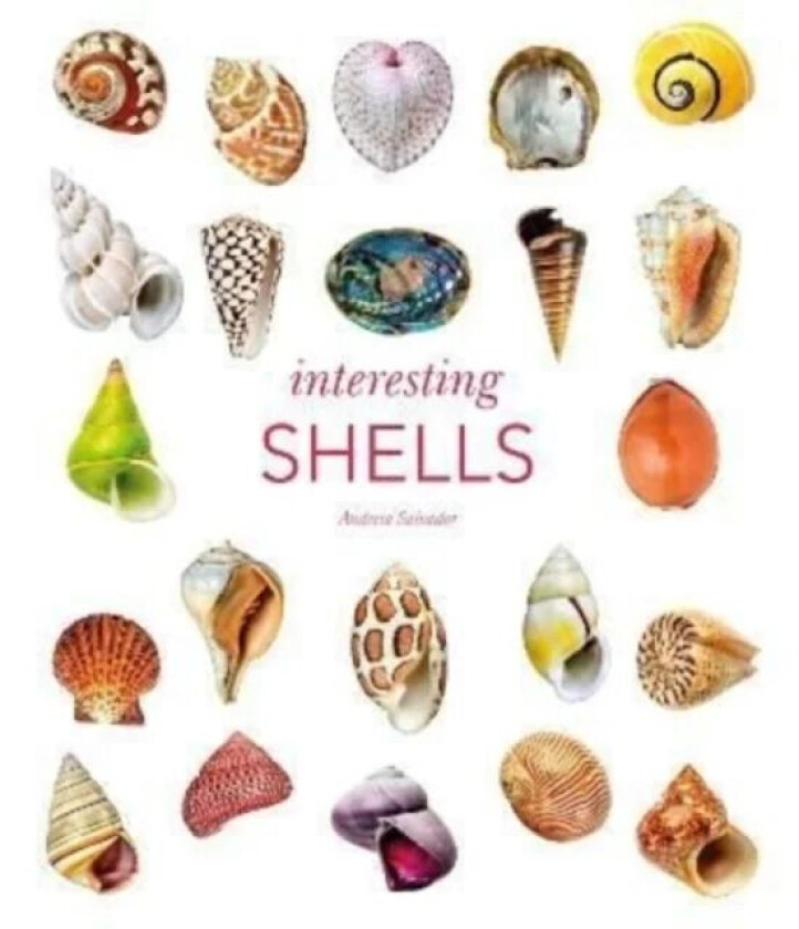 Interesting Shells av Andreia Salvador