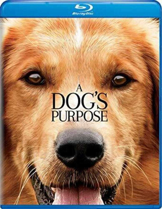 Dog's Purpose Bluray