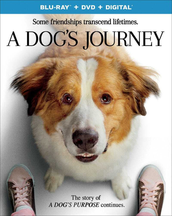 Dog's Journey Bluray