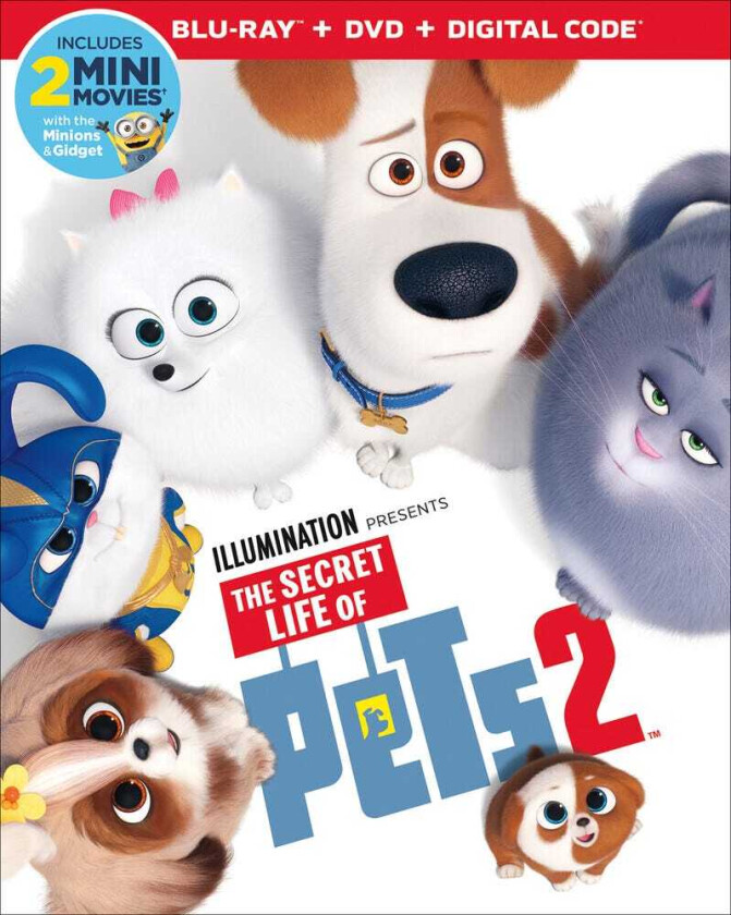 Secret Life Of Pets 2 Bluray