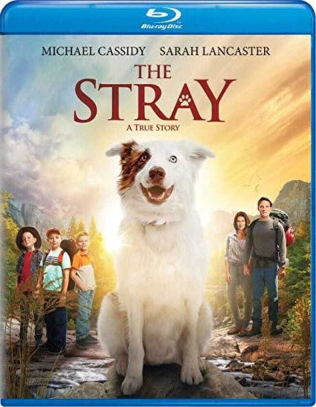 Stray Bluray