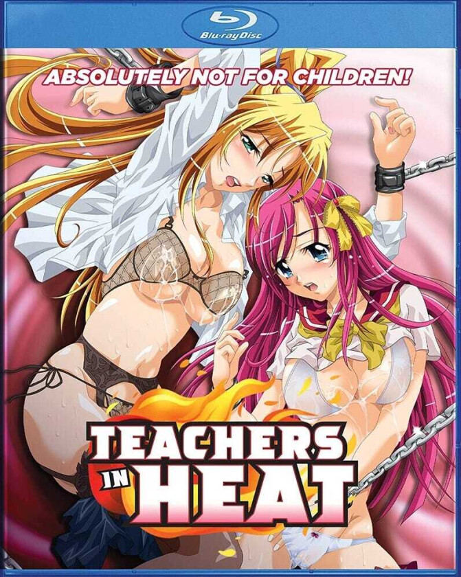 Teachers In Heat Bluray