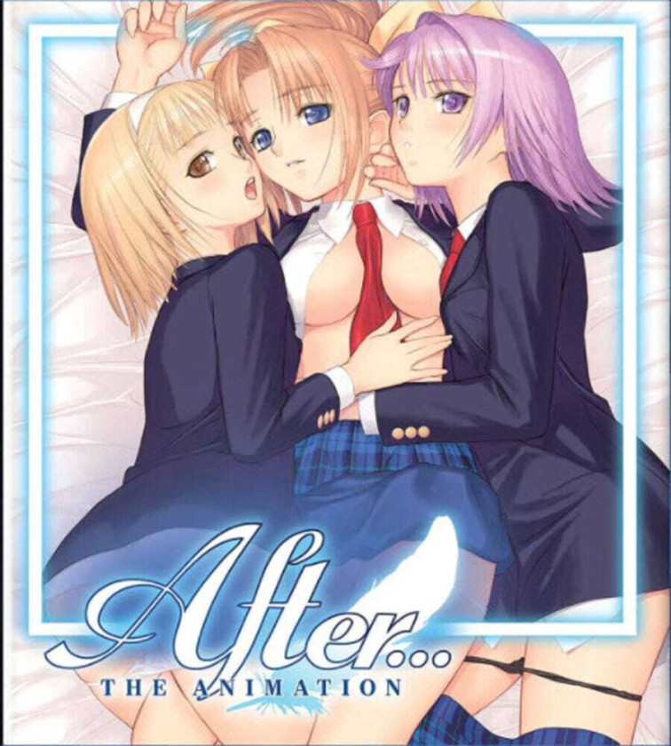 After The Animation DVD