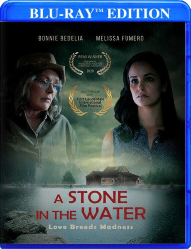 Stone In The Water Bluray
