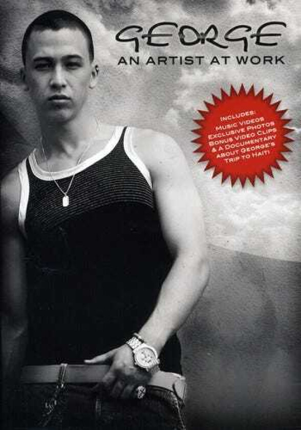 An Artist At Work DVD