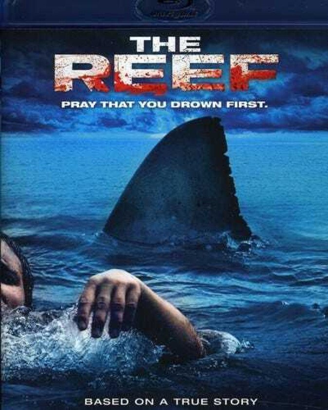 Reef Bluray