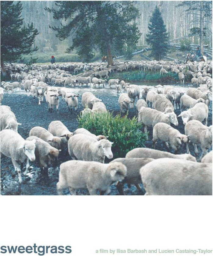 Sweetgrass Bluray