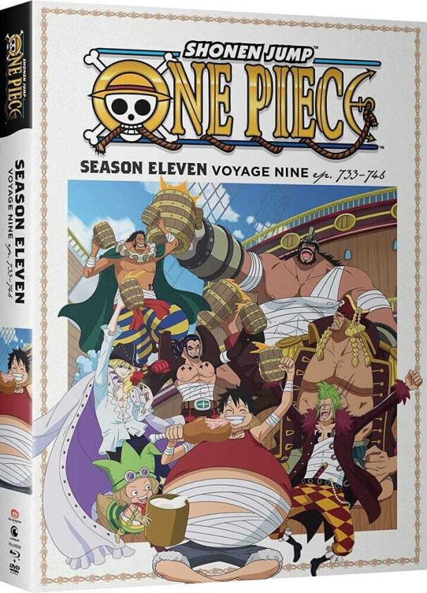 One Piece: Season 11 Voyage 9 Bluray