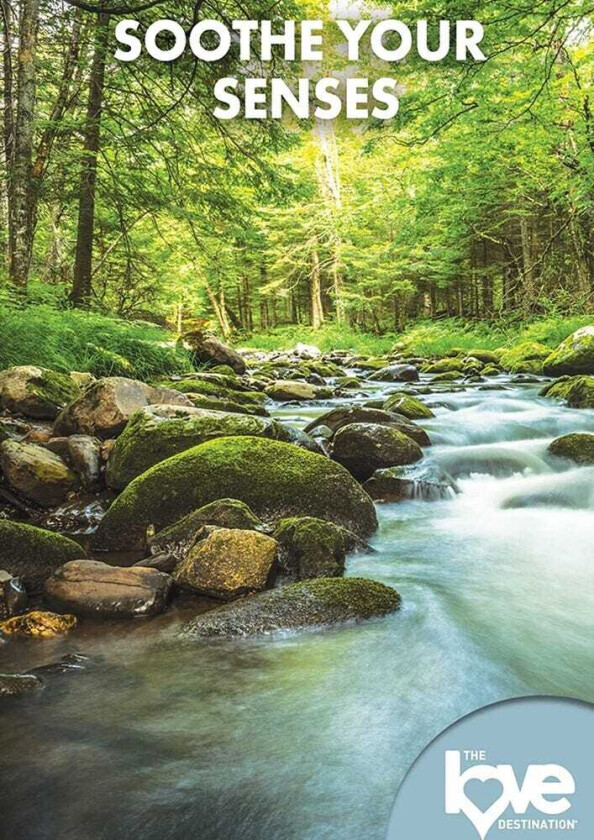 Love Destination Courses: Soothe Your Senses DVD