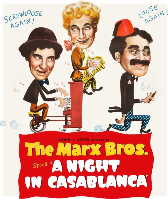 Night In Casablanca Bluray