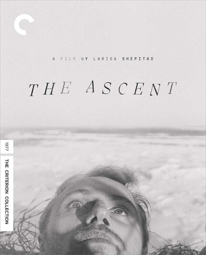 The Ascent Bluray
