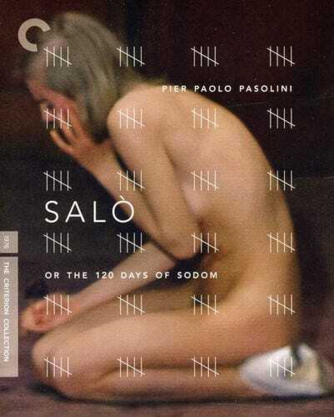 Salo Or 120 Days Of Sodom Bluray