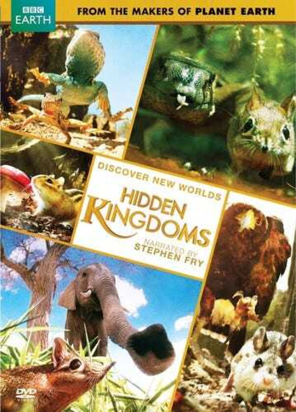 Hidden Kingdom DVD