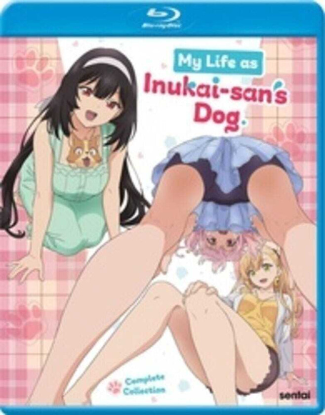 My Life As InukaiSan's Dog Complete Collection Bluray