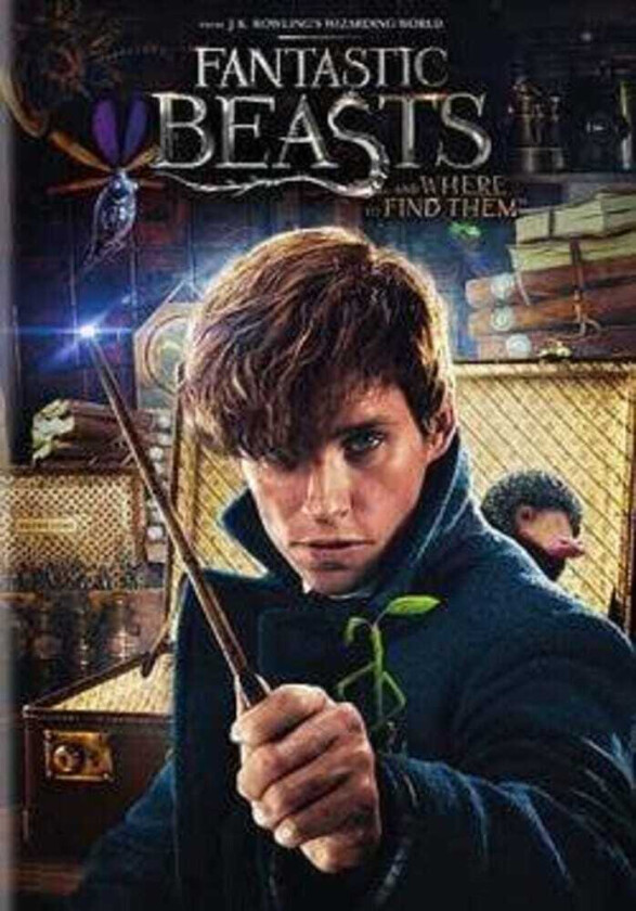 Fantastic Beasts & Where To Find Them DVD
