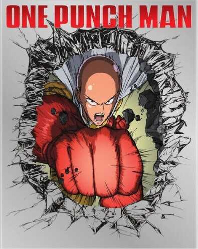 One Punch Man Bluray