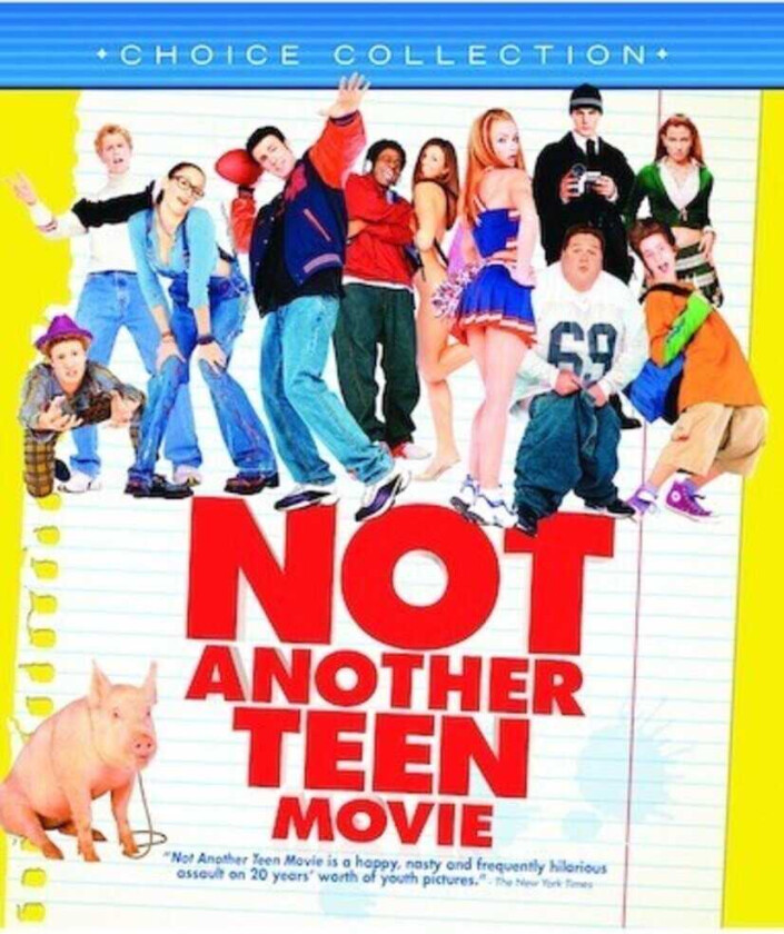 Not Another Teen Movie Bluray