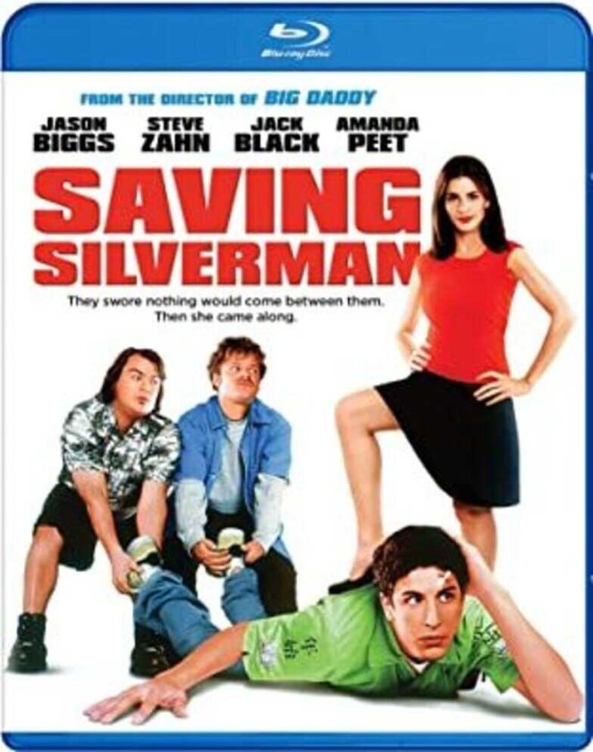 Saving Silverman Bluray