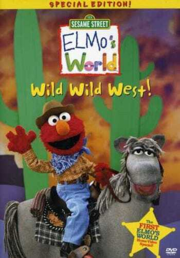 Wild Wild West DVD