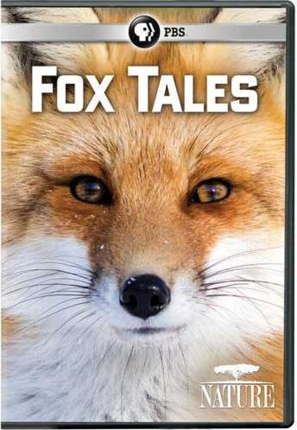 Nature: Fox Tales DVD