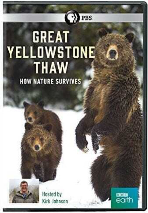 Great Yellowstone Thaw: How Nature Survives DVD