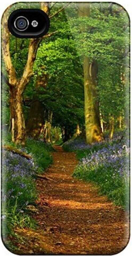 12 99 Dvd Assorted DVD