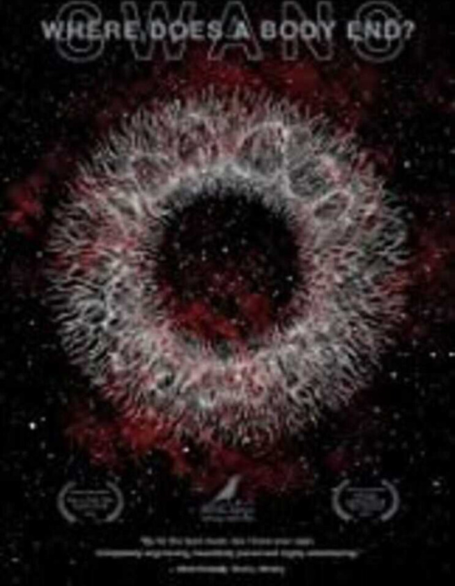 Where Does A Body End DVD