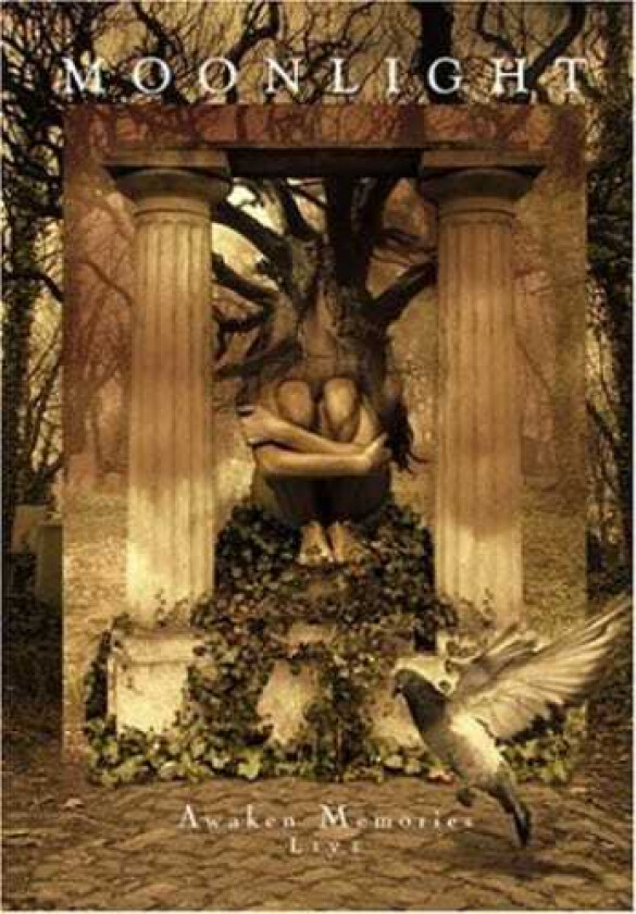 Awaken Memories Live DVD