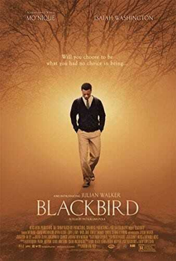 Blackbird Bluray