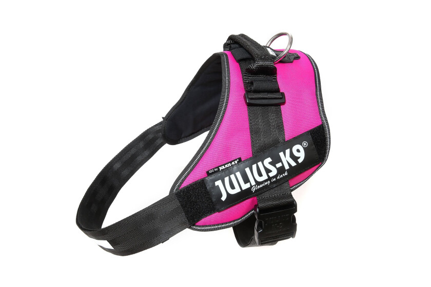 IDC® Hundesele - Dark Pink (Mini)