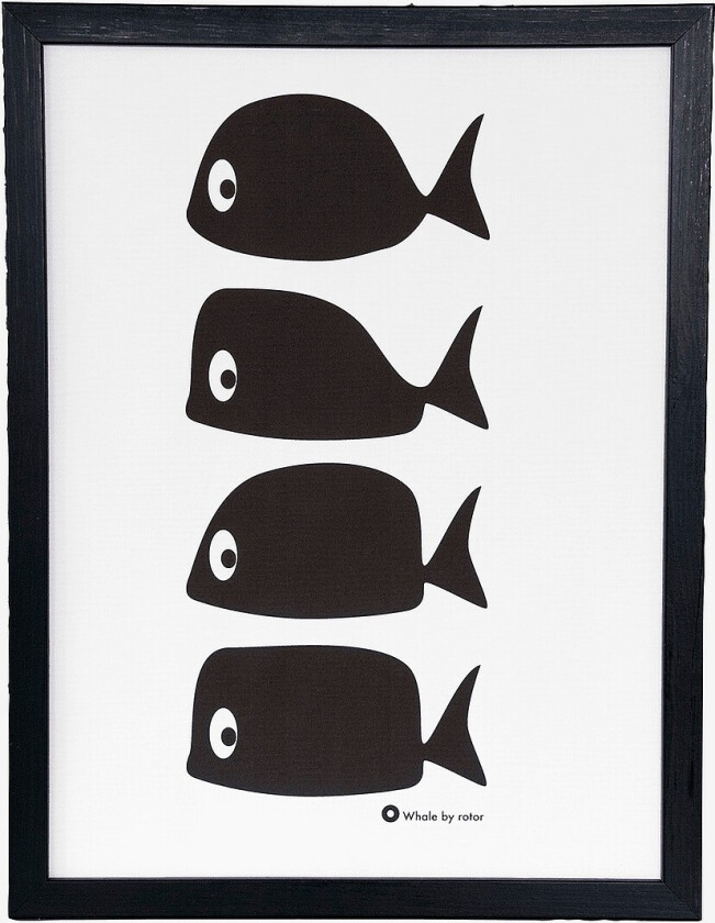 Plakat Whale Multi - Hvit