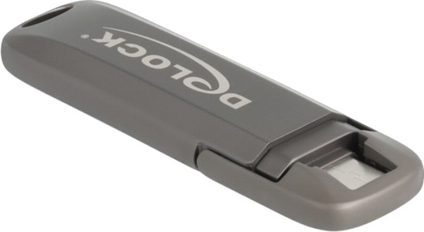 Delock Usb 20 Gbps Usb-C Minnepinne 512 Gb, Lesehastighet 1980 Mb/S - Metallhus