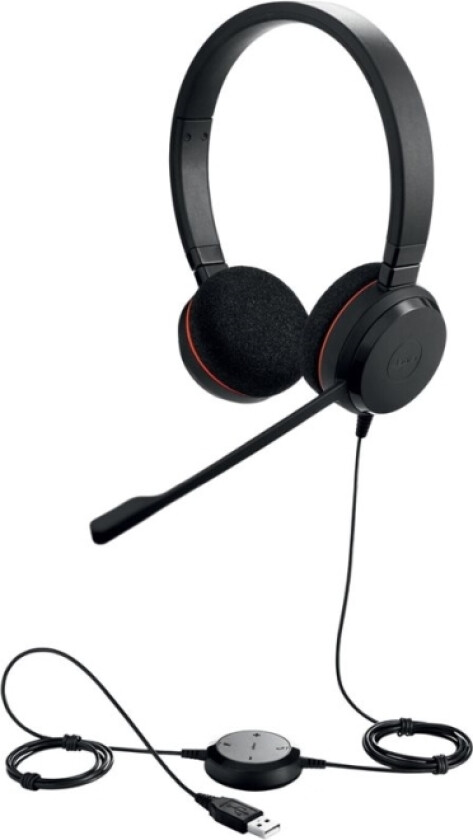Jabra Evolve 20 Usb C/A Ms Stereo - Stereo