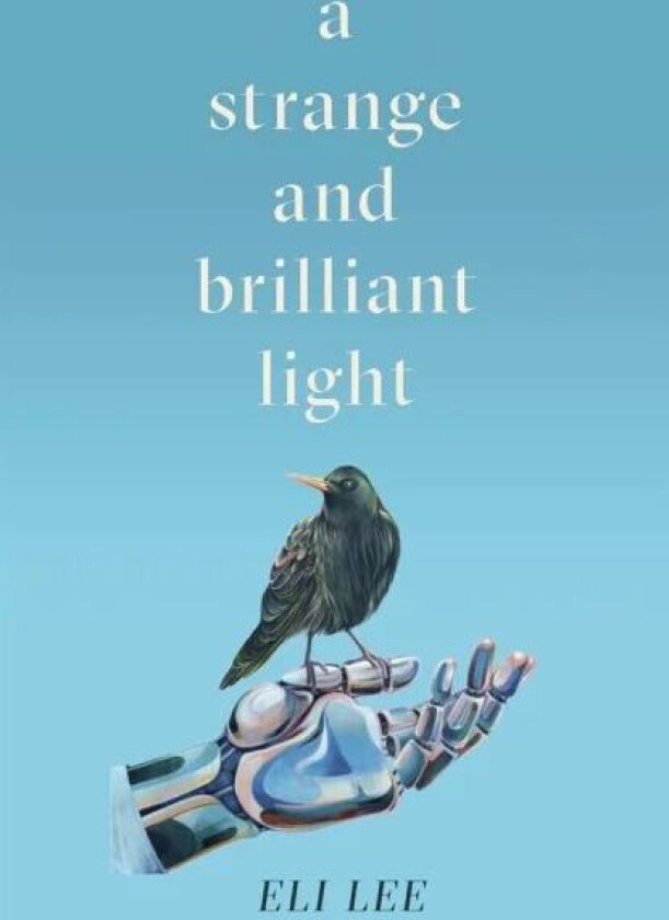 A Strange and Brilliant Light: Winner of the Writers' Guild Best First Novel Award av Eli Lee
