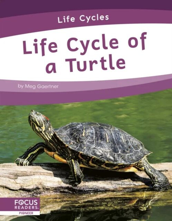 Life Cycles: Life Cycle of a Turtle av Meg Gaertner